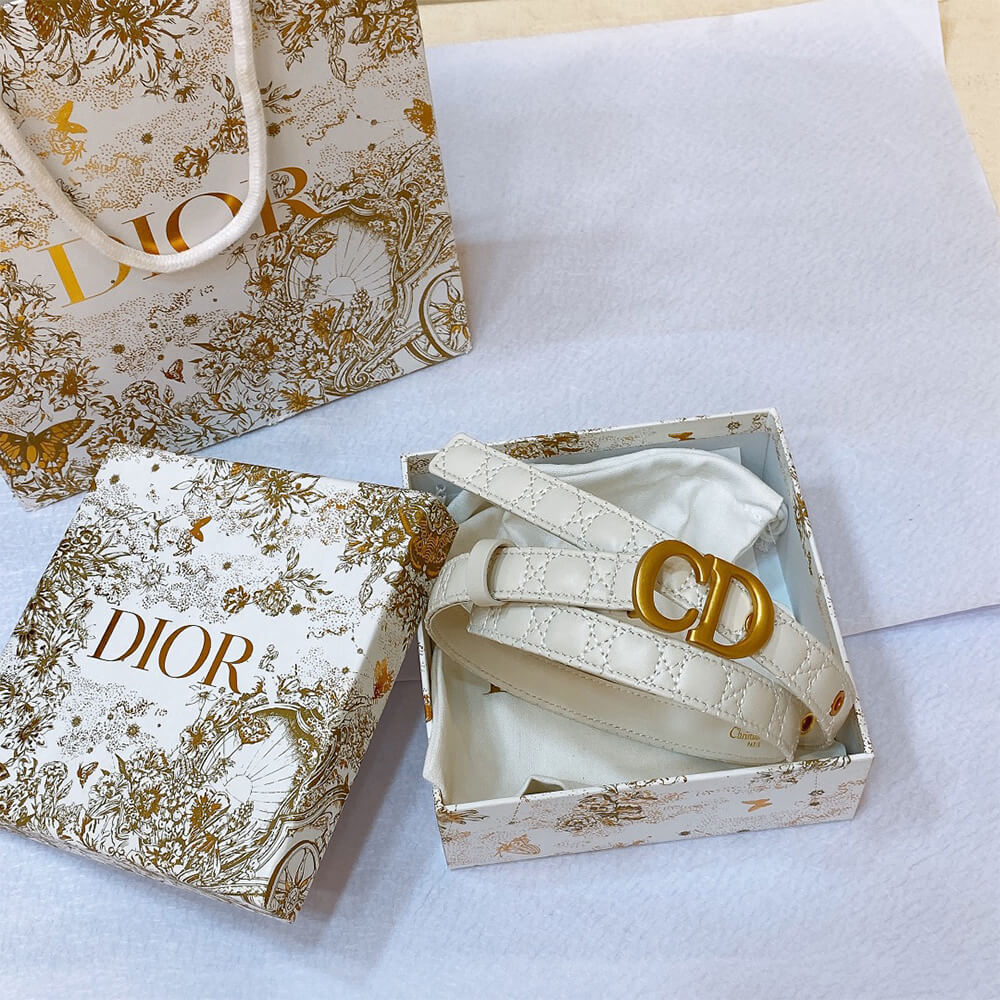 D10r 20mm belt