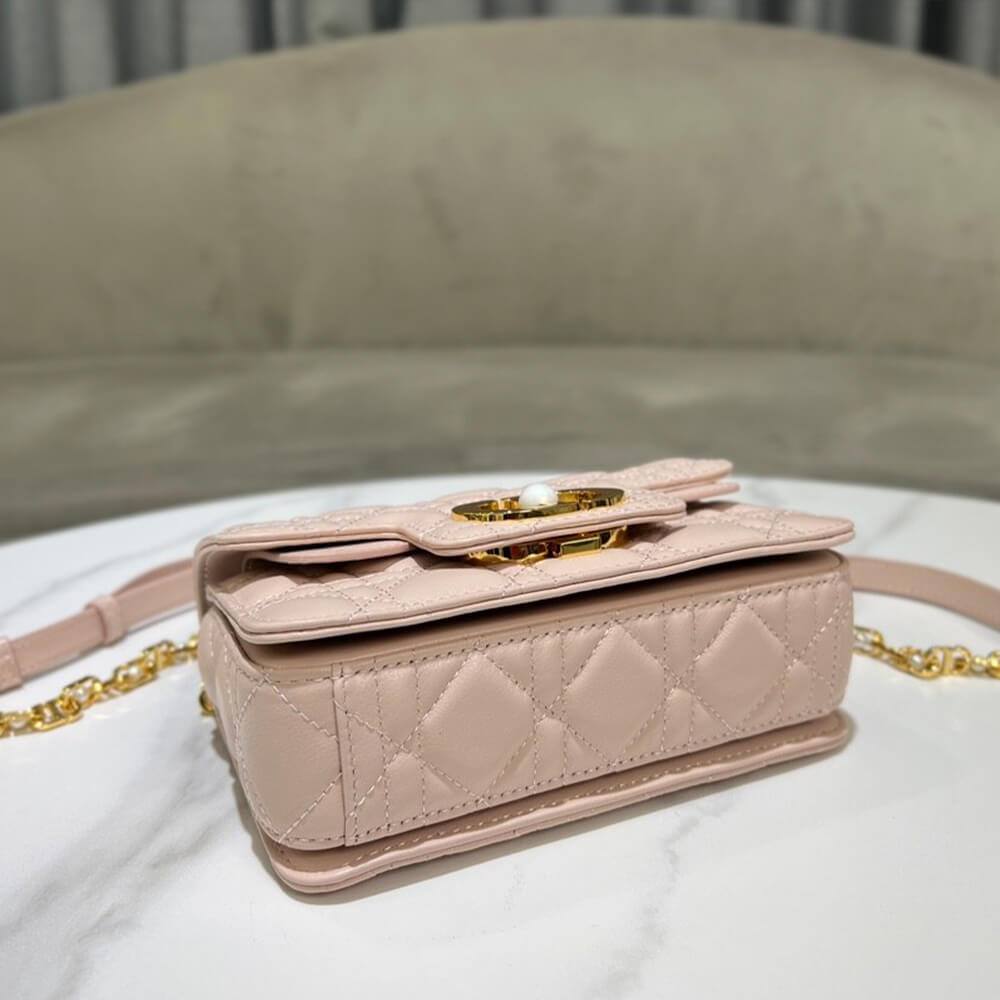 Small D10r Jolie handbag