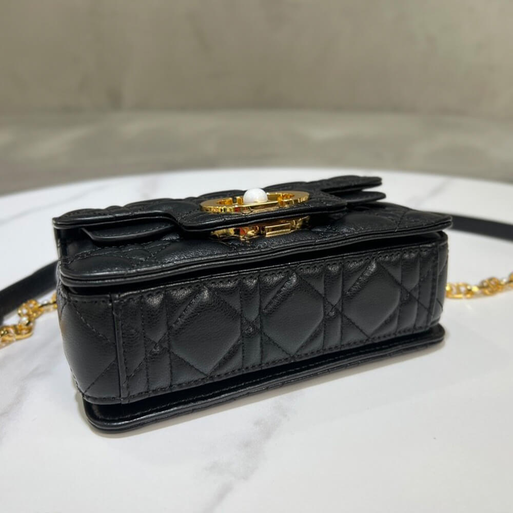 Small D10r Jolie handbag