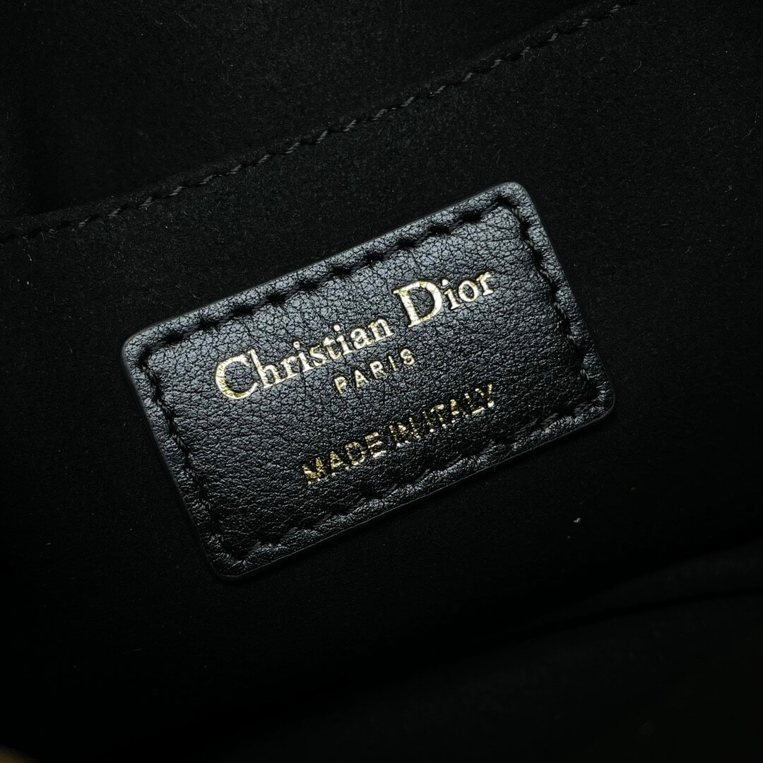 Small D10r Caro top handle camera bag