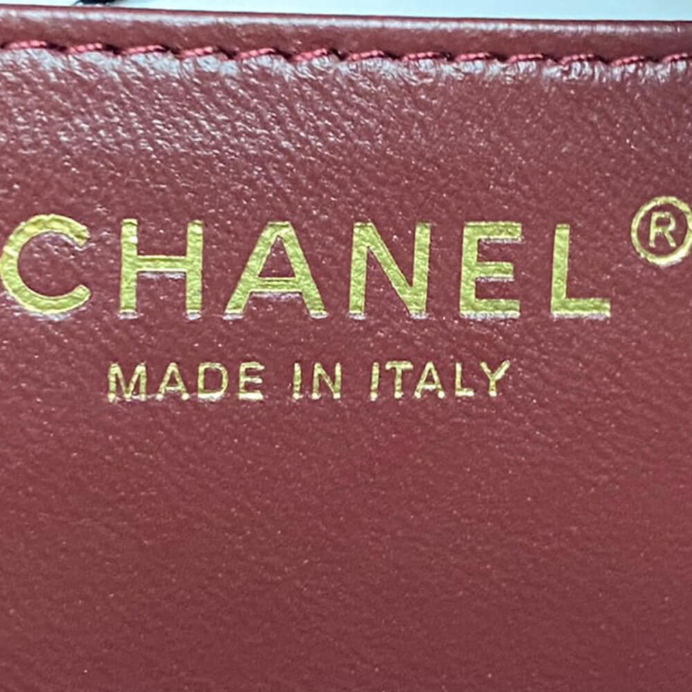 Ch**el Mini Camera Case