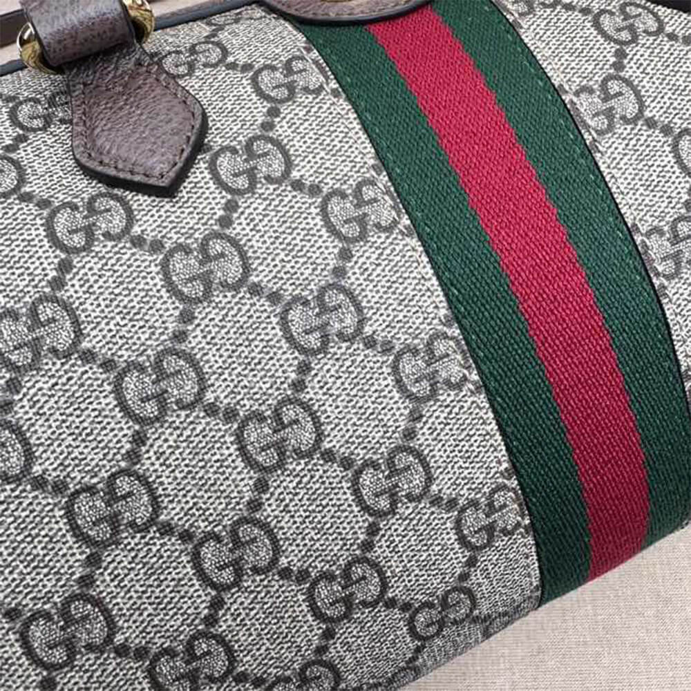 Gvc*1 Ophidia small top handle bag