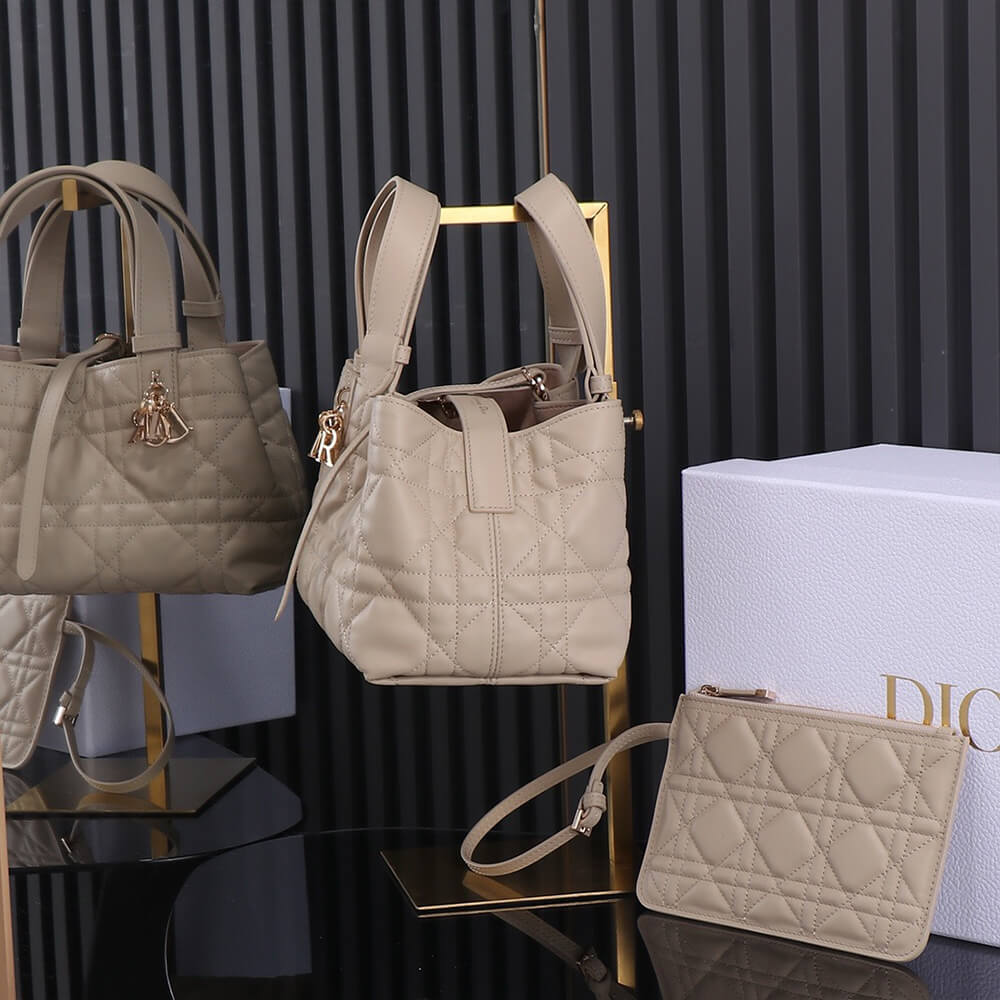 SMALL D10r TOUJOURS BAG(HIGH-END GRADE)
