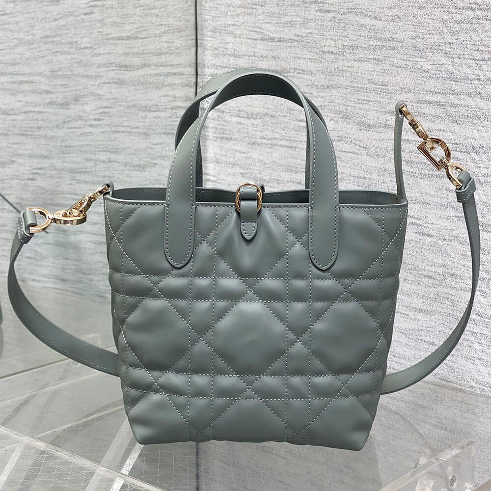Small D10r Toujours Vertical Tote Bag(high-end grade)