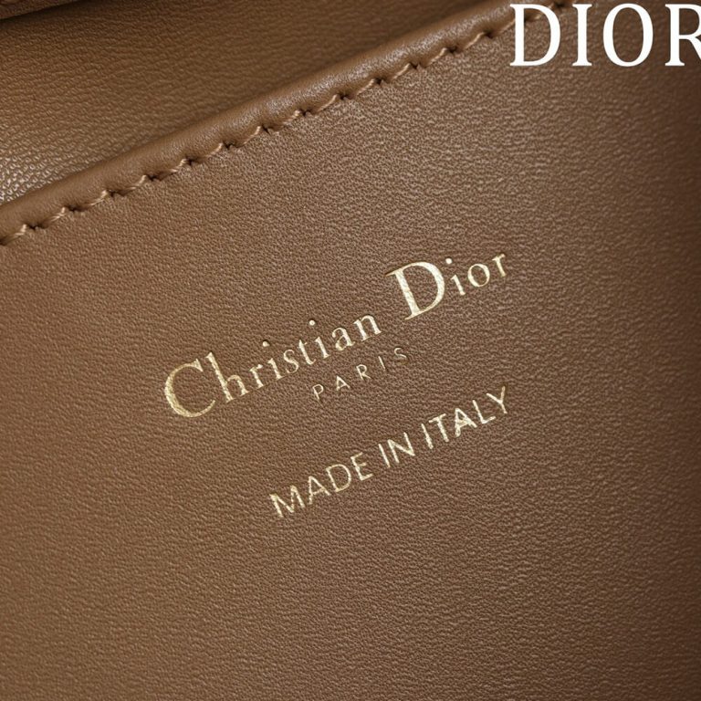 Small D10r Toujours Vertical Tote Bag(high-end grade)