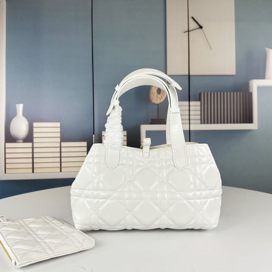 SMALL D10r TOUJOURS BAG