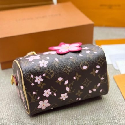 LV x TM SPEEDY BANDOULIÈRE 25